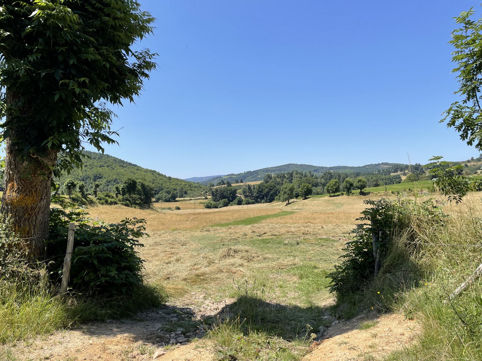 Paysage verdoyant autour de Casa Salvador
